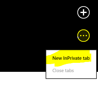 Private Browsing on Internet Explorer 10 in Metro Mode on Windows 8