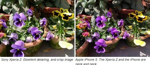 Xperiaz - Iphone5 compare pic2